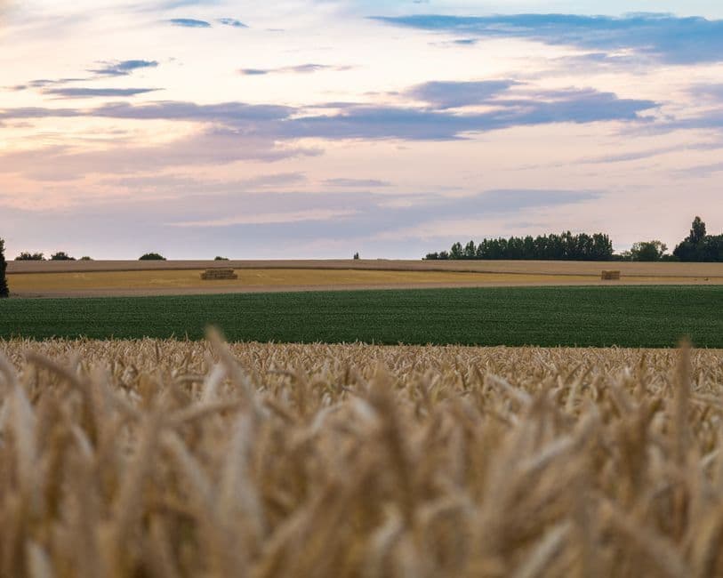 How Agricultural Insurance Can Protect Your Irrigation Equipment and Keep Your Farm Productive